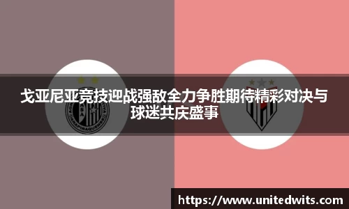 db电竞官网
